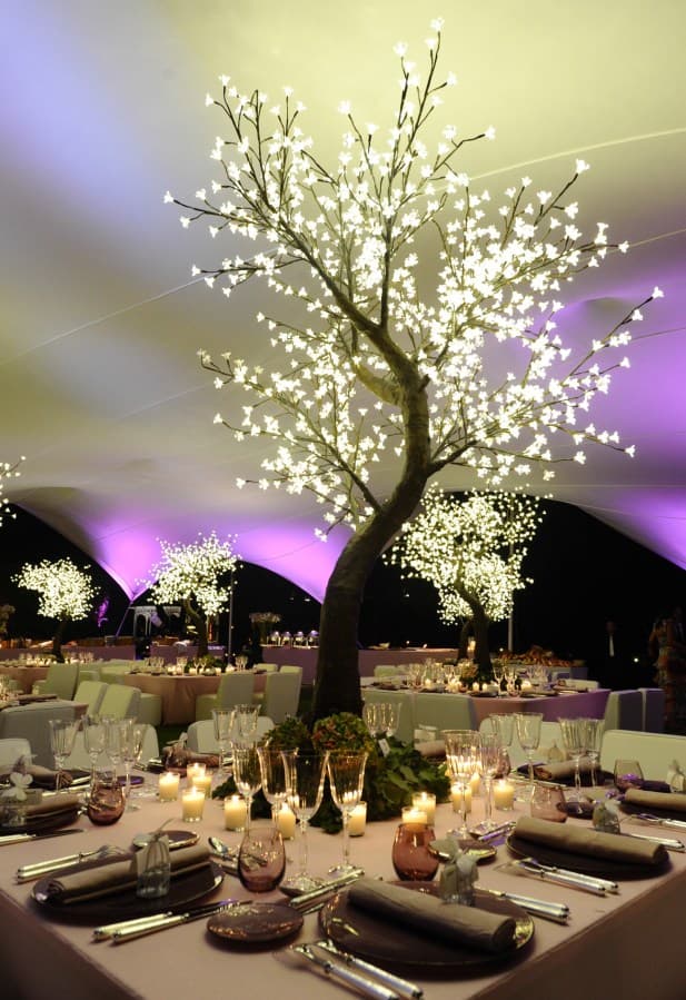 Cerisier Lumineux LED — vue 2